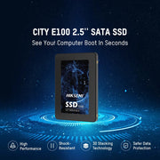 hikvision e100 ssd 256gb